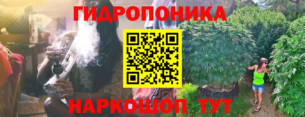 Марихуана гибрид Мурманск